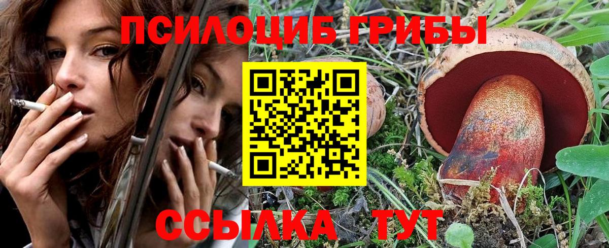 Псилоцибиновые грибы Cubensis  Вход с VPN  Одинцово 